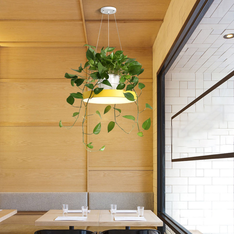 Brooklyn - Luminaire suspendu rond Macaron à LED en acrylique noir/gris/blanc avec pot de fleurs supérieur