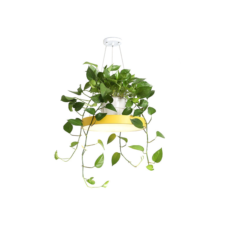 Brooklyn - Luminaire suspendu rond Macaron à LED en acrylique noir/gris/blanc avec pot de fleurs supérieur