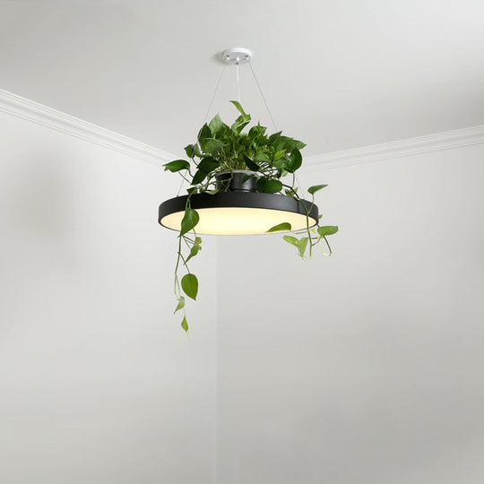 Brooklyn - Luminaire suspendu rond Macaron à LED en acrylique noir/gris/blanc avec pot de fleurs supérieur