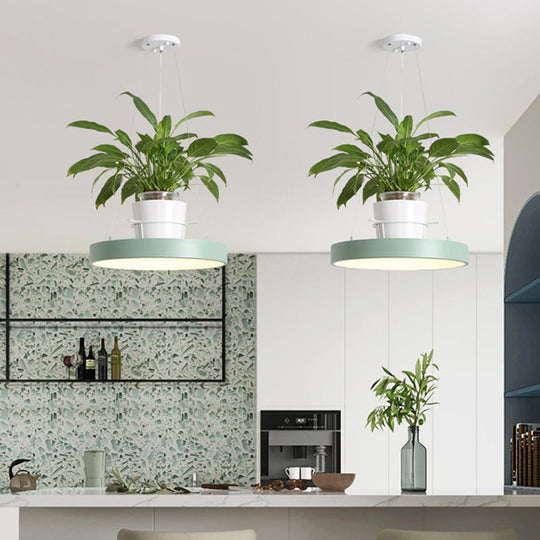 Brooklyn - Luminaire suspendu rond Macaron à LED en acrylique noir/gris/blanc avec pot de fleurs supérieur