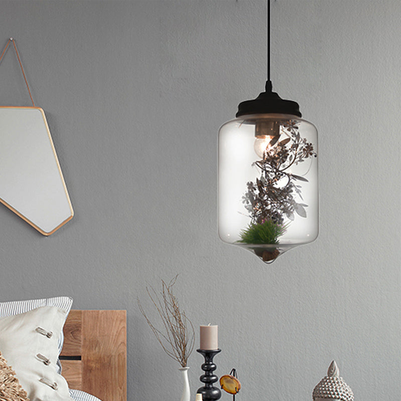 Contemporary 1 Light Hanging Lamp with Clear Glass Shade and Plant Decoration – Pendant Lamp in Multiple Shapes and Sizes