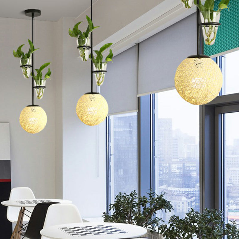 Spherical Pendulum Rattan Hanging Lamp With Glass Cone Plant Container - Single Bulb Beige