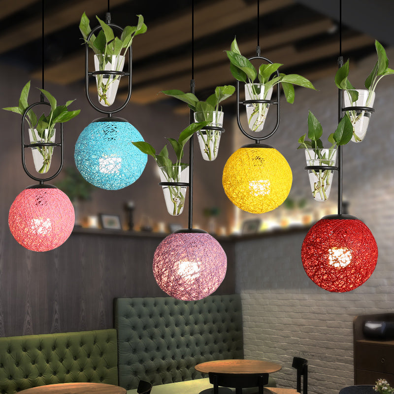 Spherical Pendulum Rattan Hanging Lamp With Glass Cone Plant Container - Single Bulb