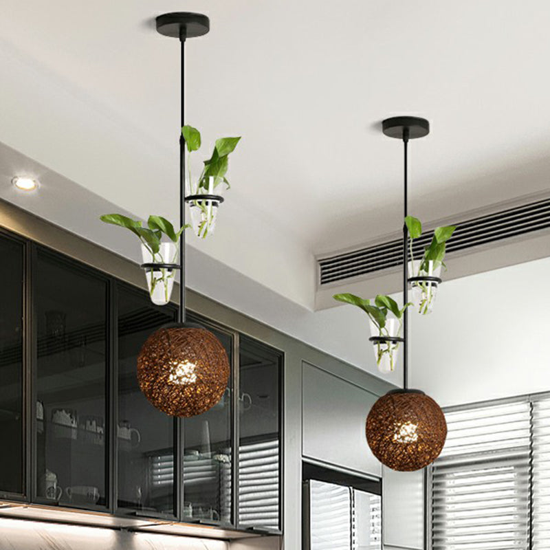 Spherical Pendulum Rattan Hanging Lamp With Glass Cone Plant Container - Single Bulb Brown