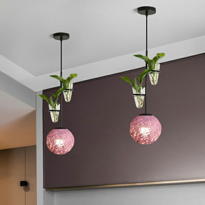 Spherical Pendulum Rattan Hanging Lamp With Glass Cone Plant Container - Single Bulb Purple