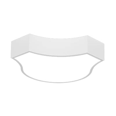 Modern LED Ceiling Lamp for Living Room - Metal & Acrylic Mount Light