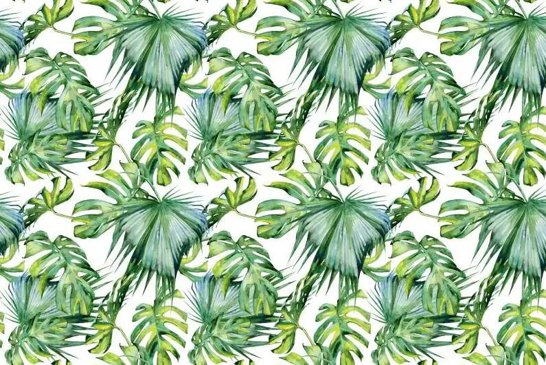 41088248610902|41088249200726|41088249266262|41088249331798|41088249397334