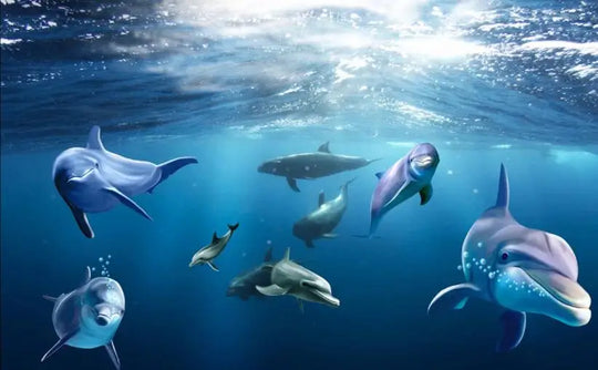 41144494358614|41144494489686|41144494522454|41144494555222|41144494587990|41144495931478|41144496422998