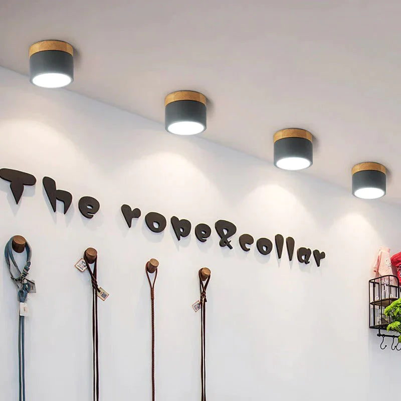 Nordic Ceiling Lights Modern Porch Aisle Corridor LED Ceiling Lighting Fixtures