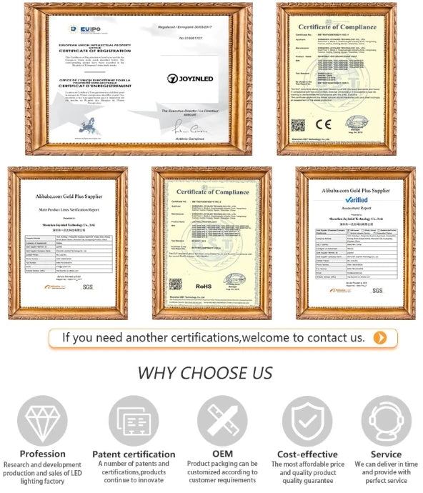 Home Deco Modern European LED Wall Lamp