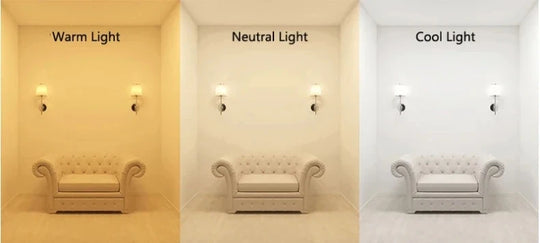 Home Deco Vertical Globe Wall Lamp