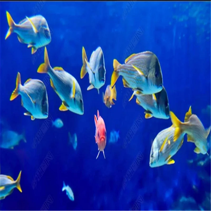 Treasure Ocean Park Deep-Sea Fish Mural Wallpaper