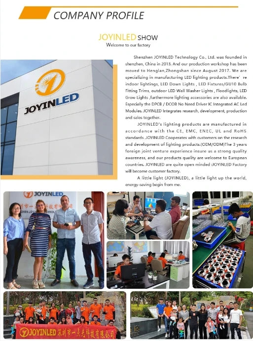 Home Deco Modern European LED Wall Lamp