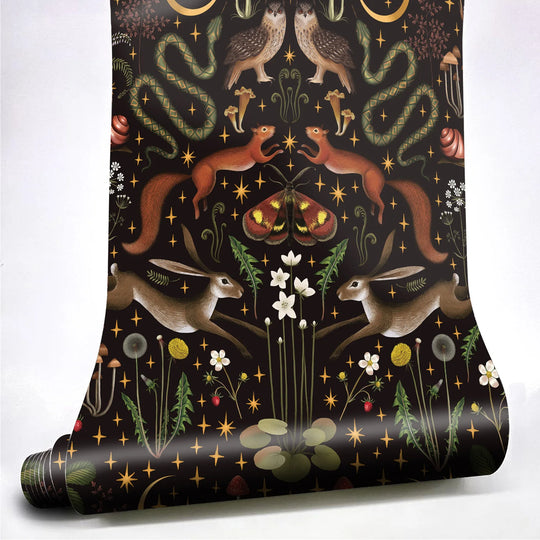 41088145555542|41088145653846