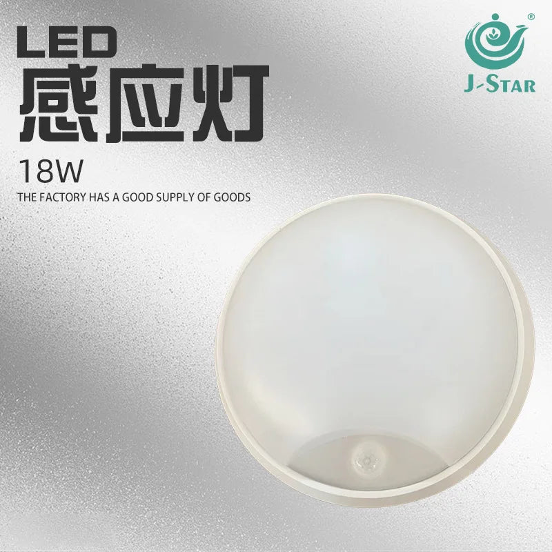 Home Deco99 Motion Sensor Waterproof Wall Lamp