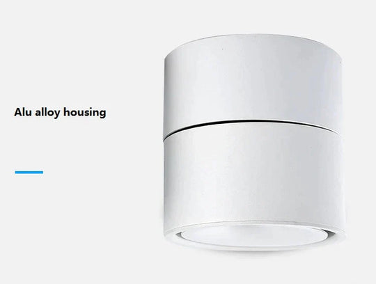 3W/5W/7W/10W12W Dimmable Led Surface Mounted Ceiling Lamp Foldable And Rotatable Cob Corridor Spot