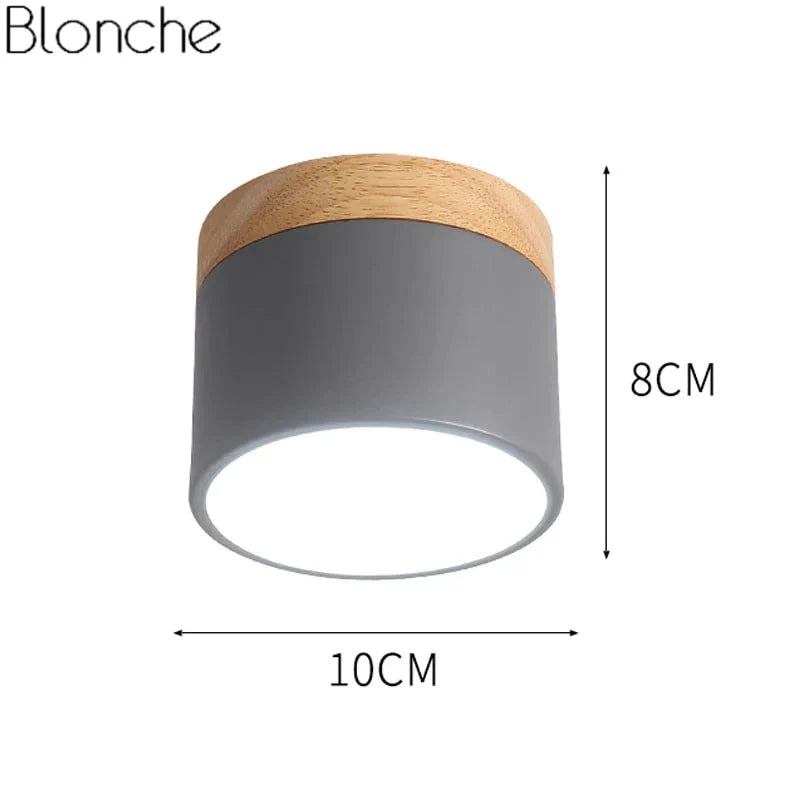 Nordic Ceiling Lights Modern Porch Aisle Corridor LED Ceiling Lighting Fixtures