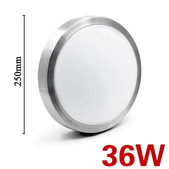 High brightness LED Ceiling lights LED Chip 12W 18W 24W 36W 45W LED Ceiling Lamp